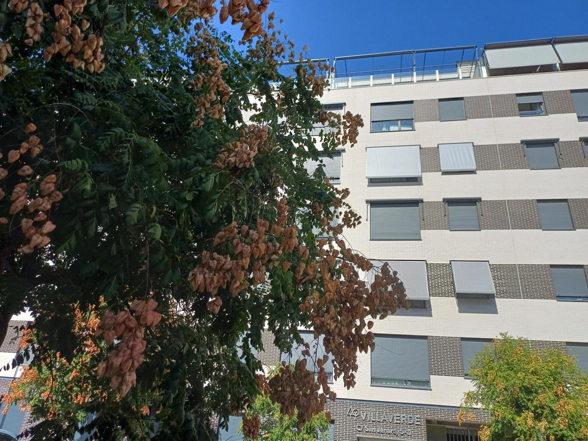 Estudios Nuevos Madrid Centro Exterior foto